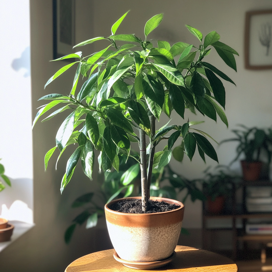 How to stop a plant getting too big