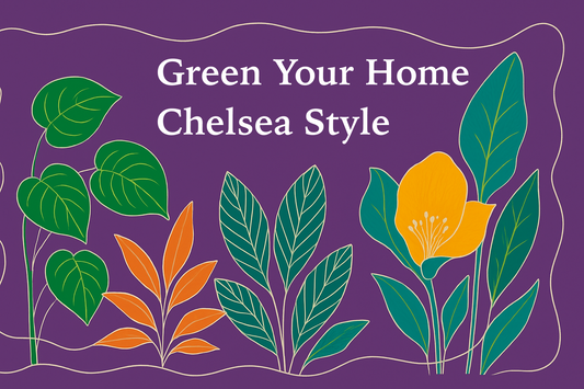 Green Your Home, Chelsea Style: An Insider's Guide to Top Indoor Plants, Houseplants & Plant Delivery