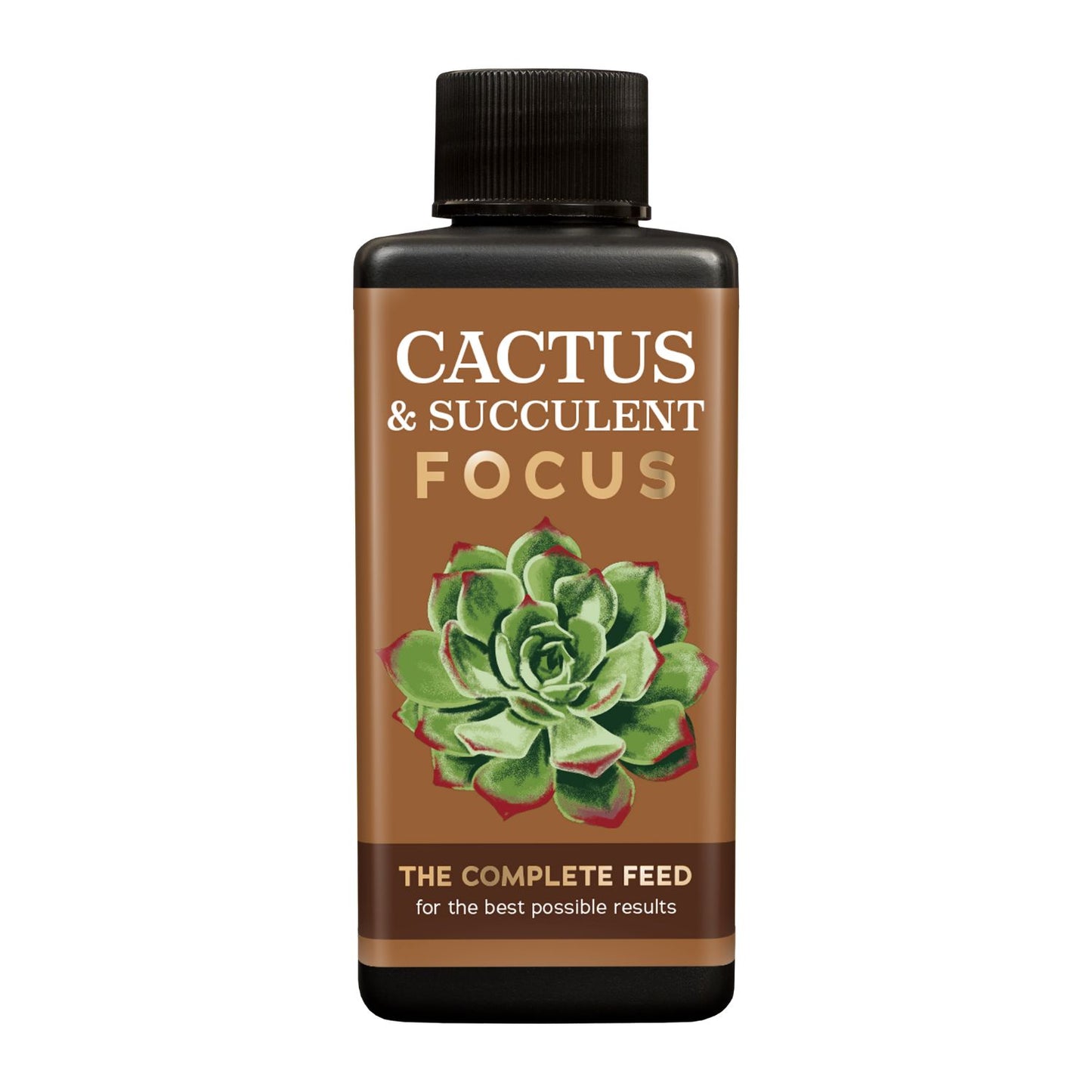 Cactus & Succulent Focus - Plant Food