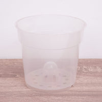 Orchid Pot | Transparent
