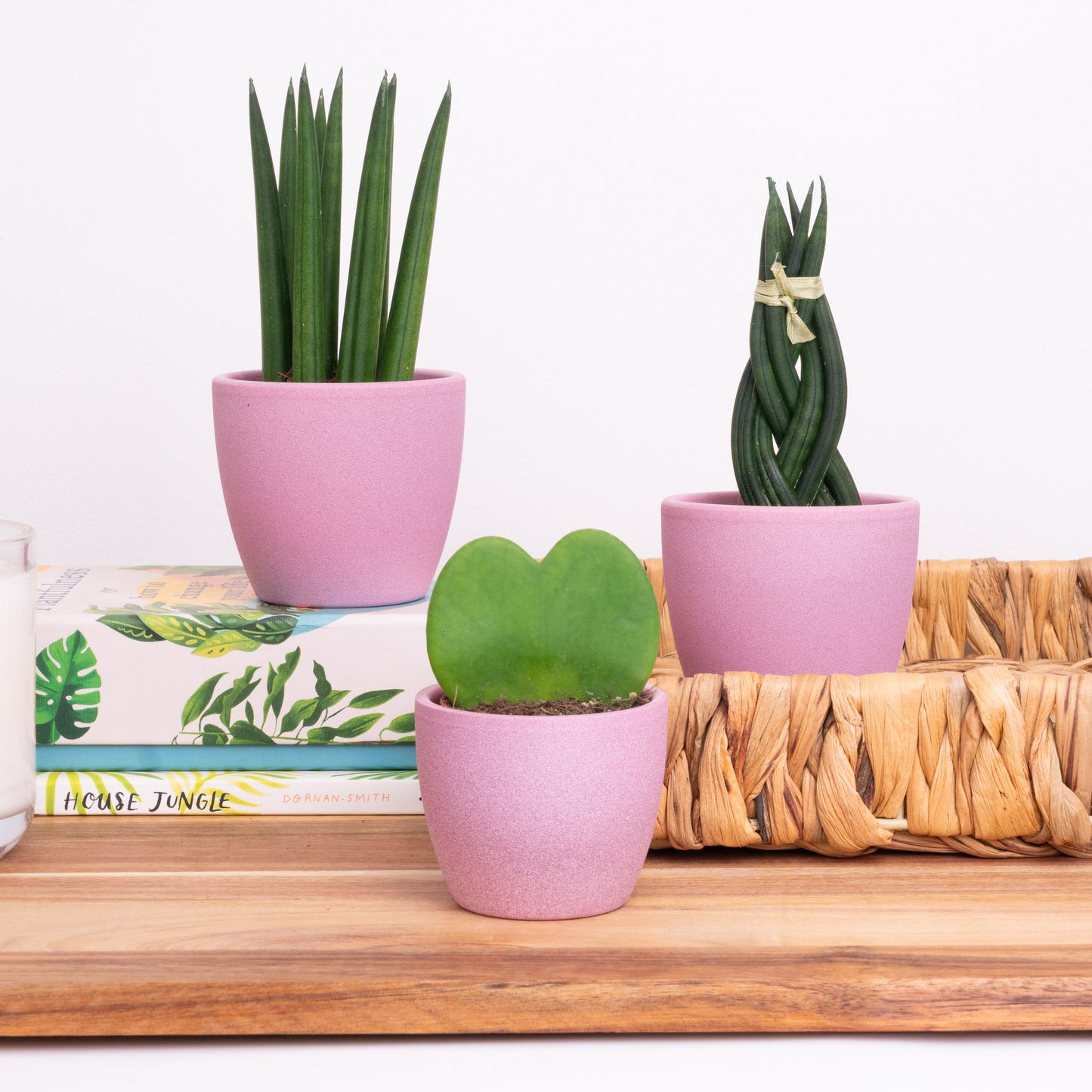 From My Heart | Plant Bundle