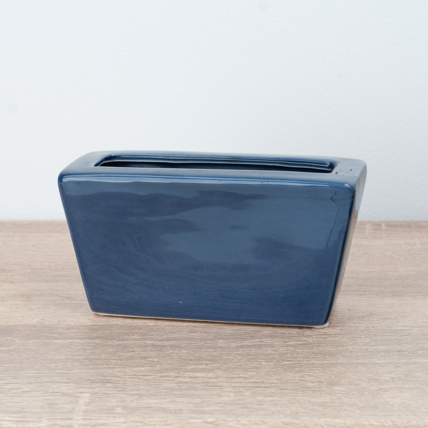 Lucky Bamboo Slim Ceramic Pot | Blue