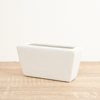 Lucky Bamboo Slim Ceramic Pot | White