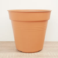 Grow Pot | Terracotta