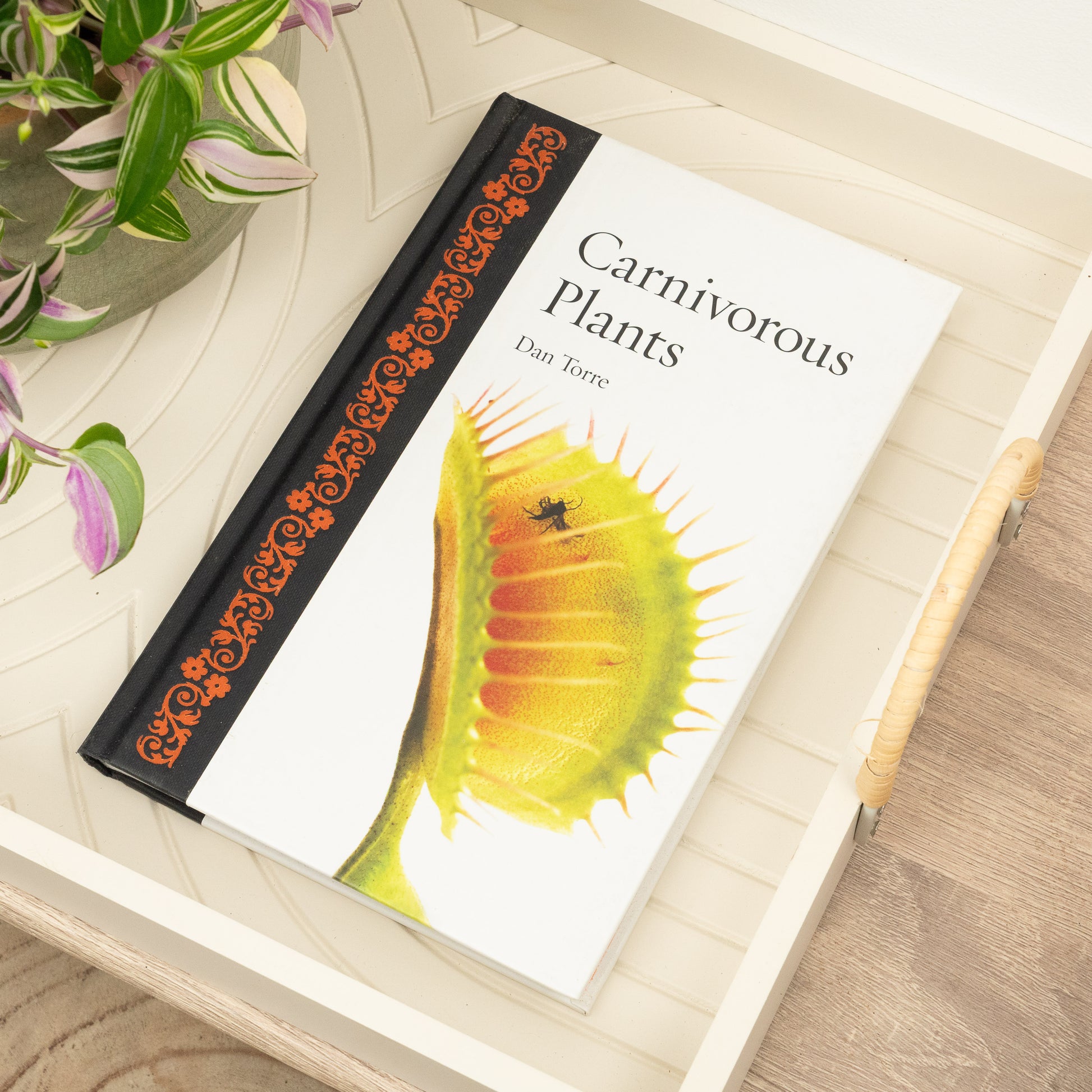 Carnivorous Plants by Dan Torre