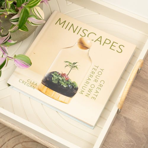 Miniscapes - Create Your Own Terrarium by Clea Cregan