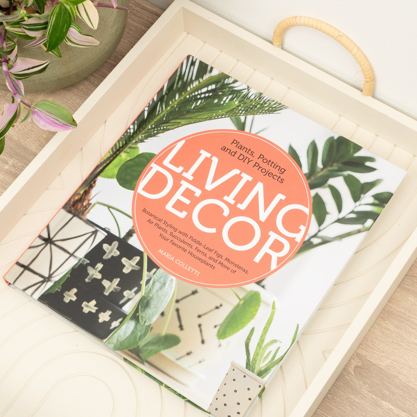 Living Decor: Plants, Potting and DIY Projects - Botanical Styling with Fiddle-Leaf Figs, Monsteras, Air Plants, Succulents, Ferns, and More of Your Favorite Houseplants by Maria Colletti