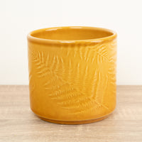 Orla Glazed Fern Pot | Mustard - Ceramic Plant Pot