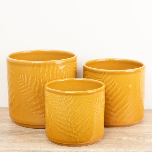 Orla Glazed Fern Pot | Mustard | Pots & Planters