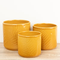Orla Glazed Fern Pot | Mustard