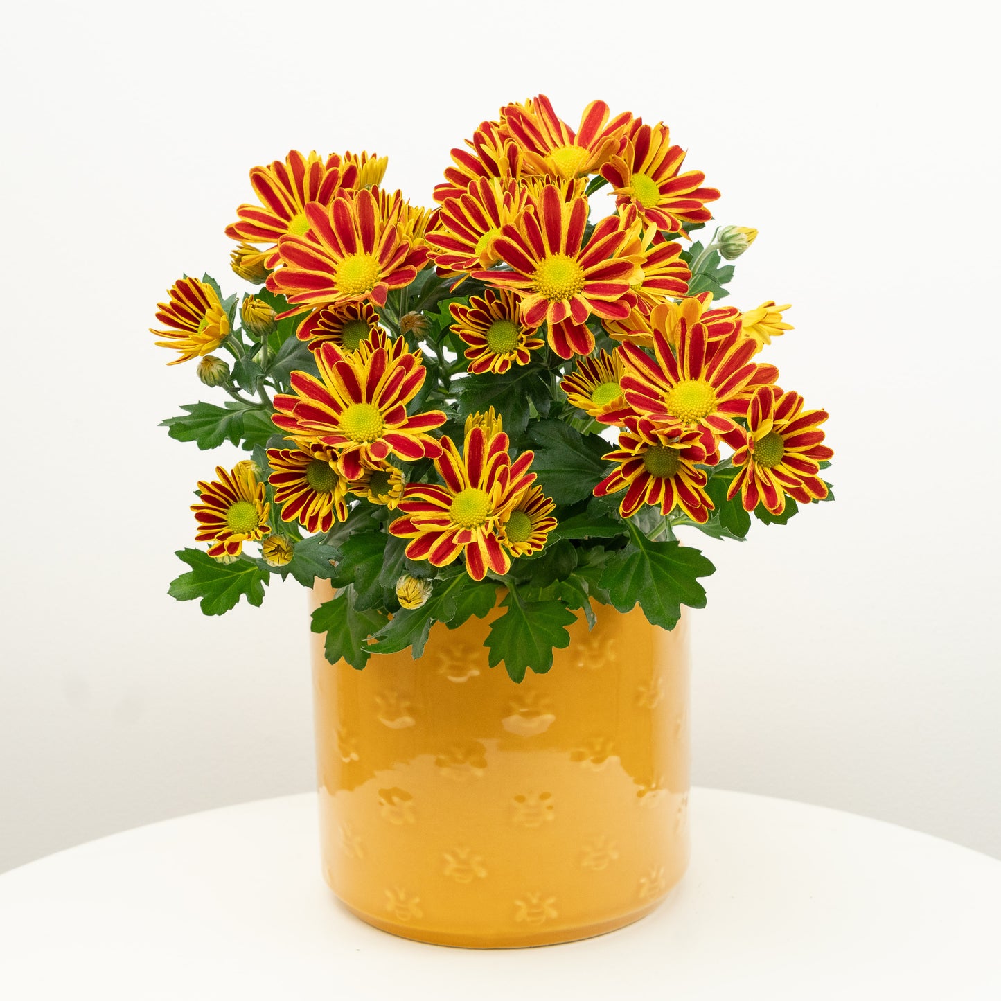 Mum | Amaretto