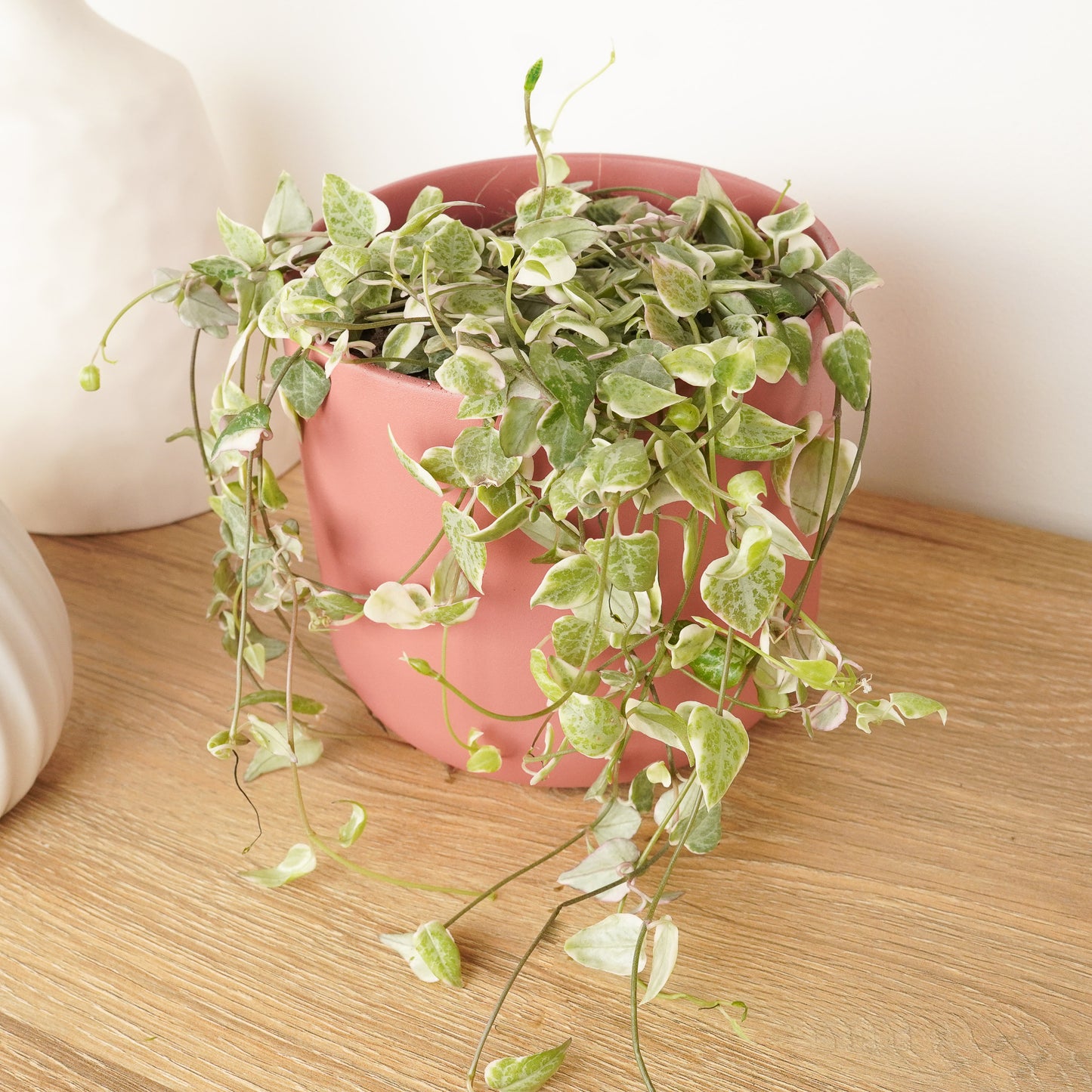 String Of Spades | Merel