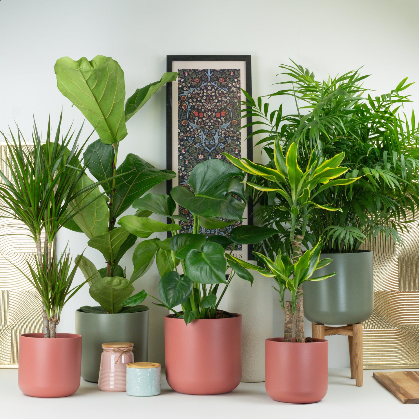 Ultimate Interior Statement | Plant Bundle