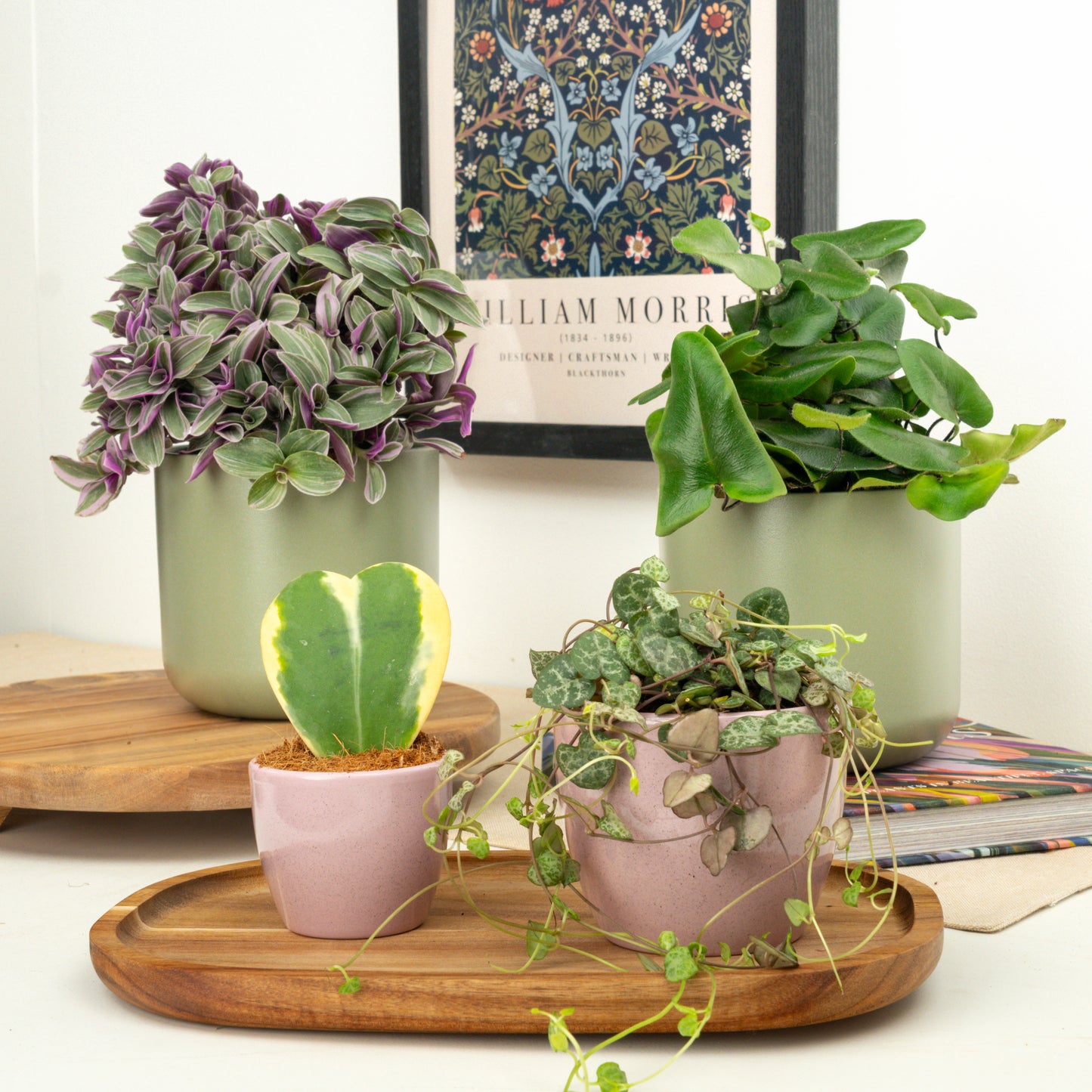 From the Heart | Plant Bundle