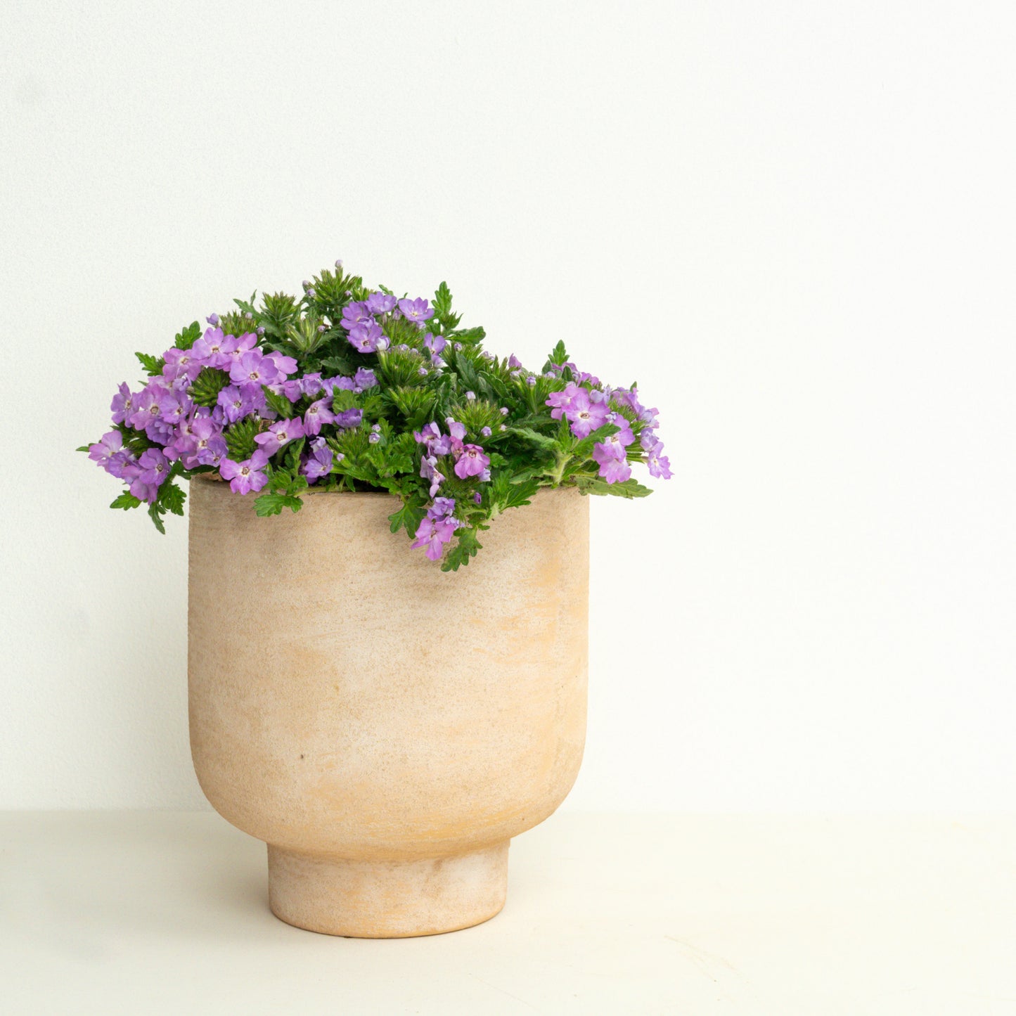 Low Effort, Big Impact | Garden Bundle