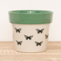 Butterfly Pot | Mint Green