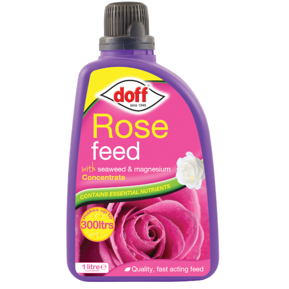 Doff Rose Feed
