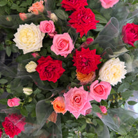 Flowering Rose | Rainbow