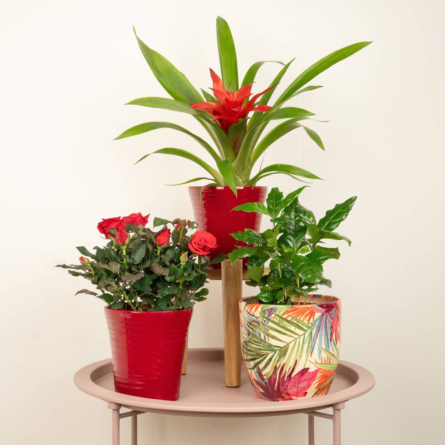 Bloom Booster | Plant Bundle