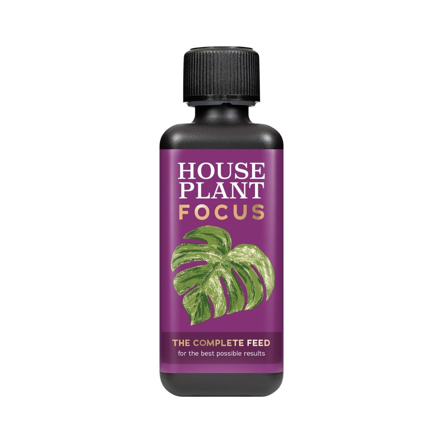 Houseplant Focus - Plant Food
