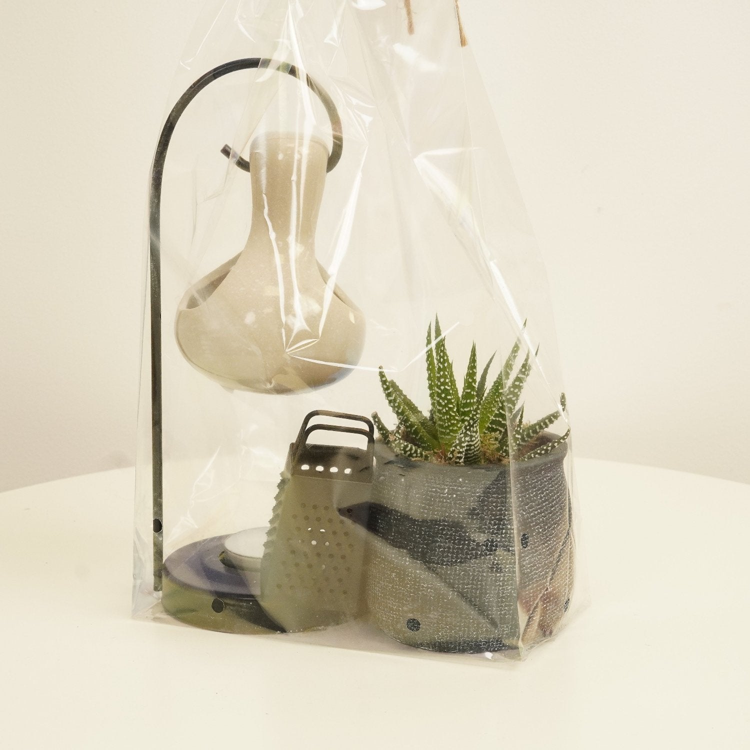 Scent Burner & Plant Giftset