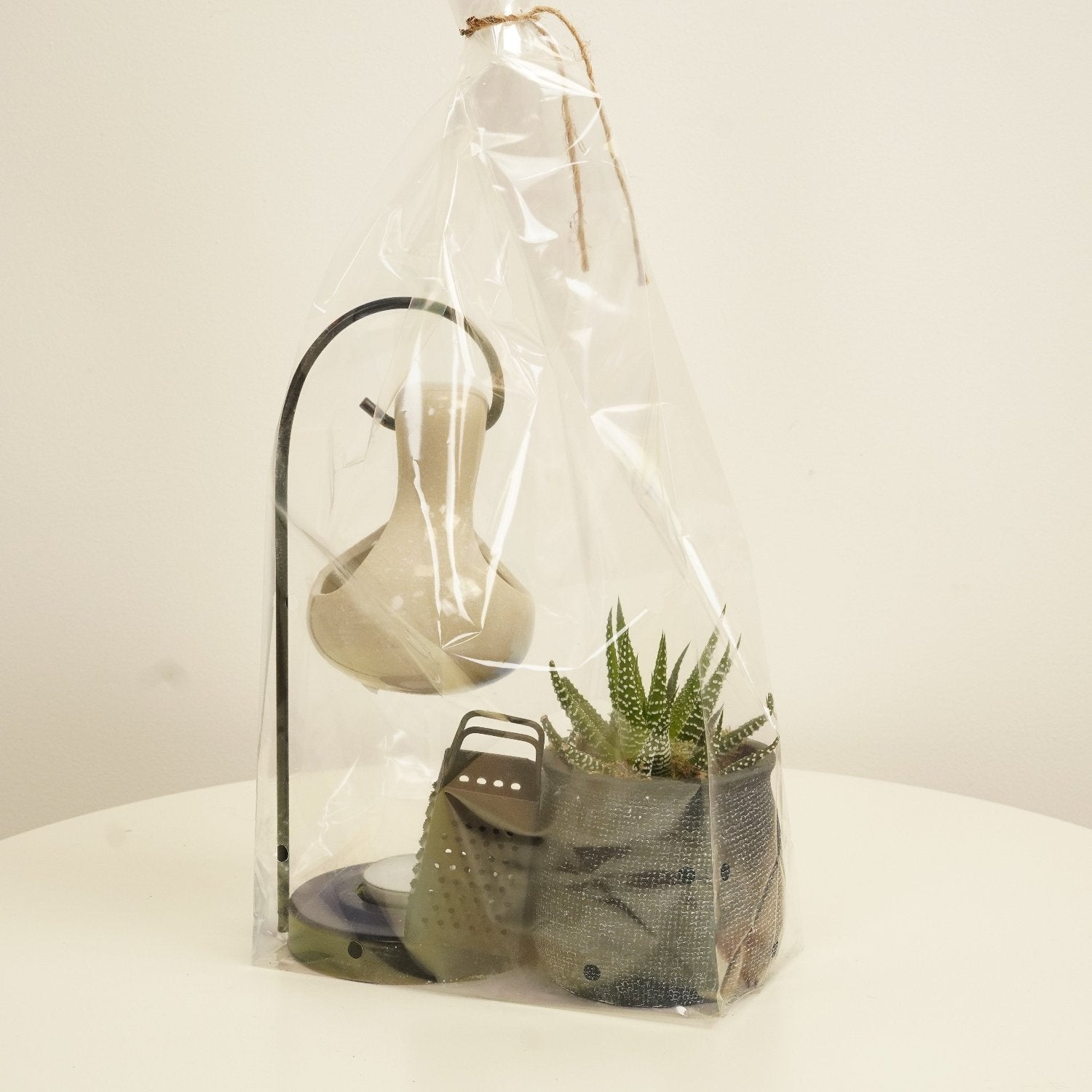 Scent Burner & Plant Giftset