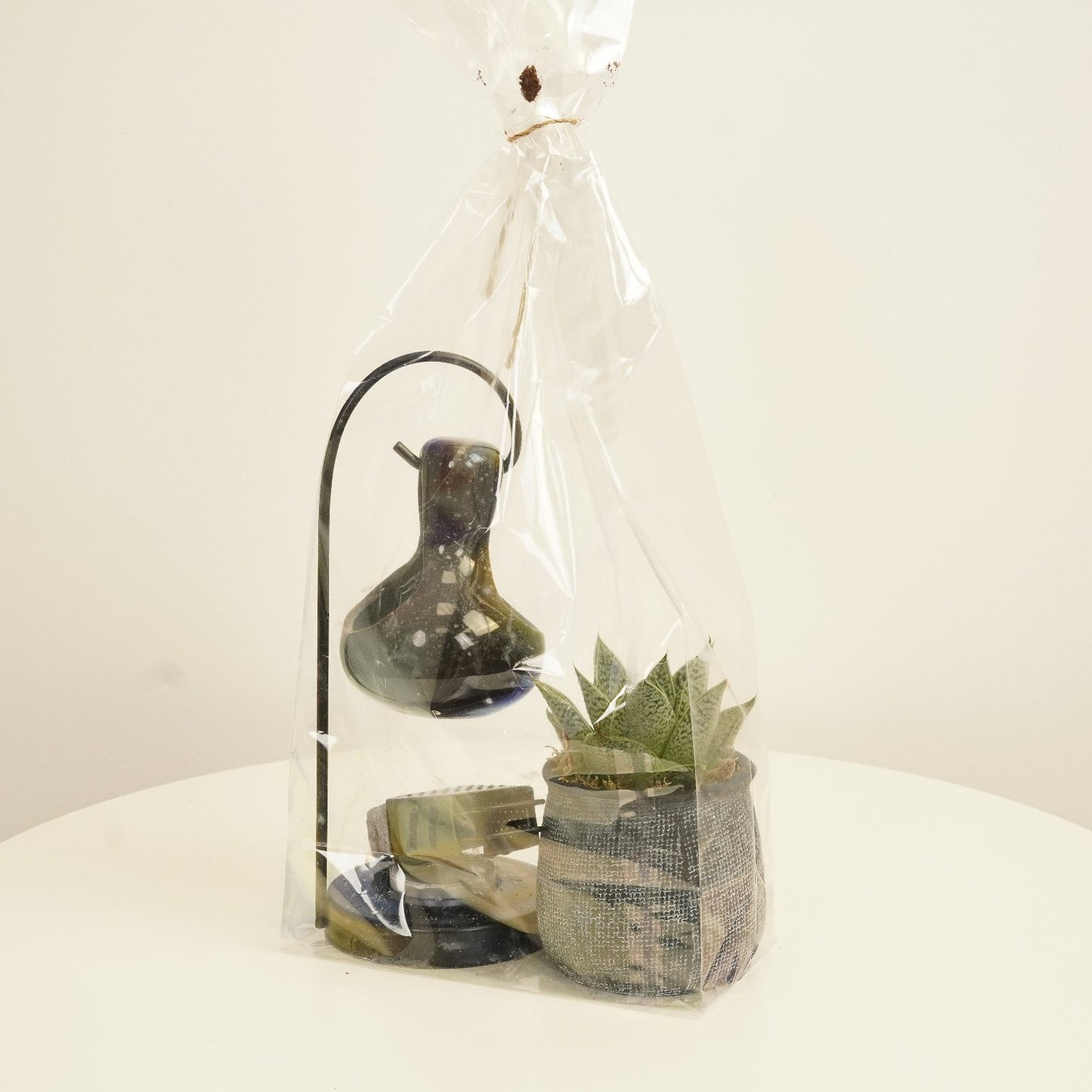 Scent Burner & Plant Giftset