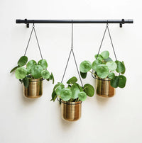 Hanging Planters | Gold & Black