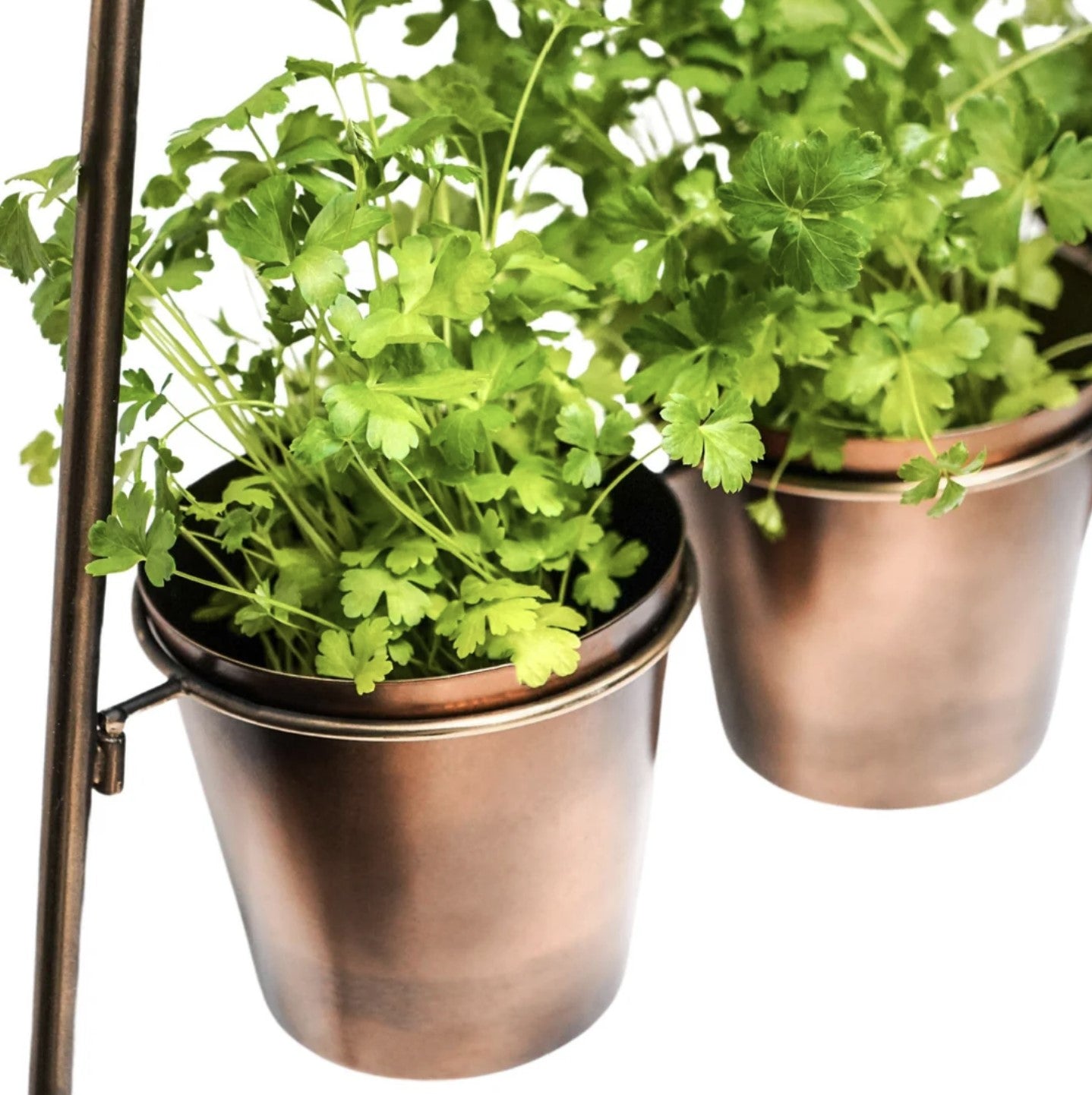 Modern Vertical Plant Stand | Gold Bronze