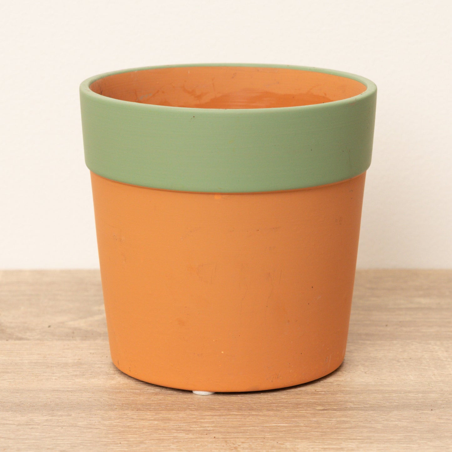 Cottage Garden Pot | Green Rim