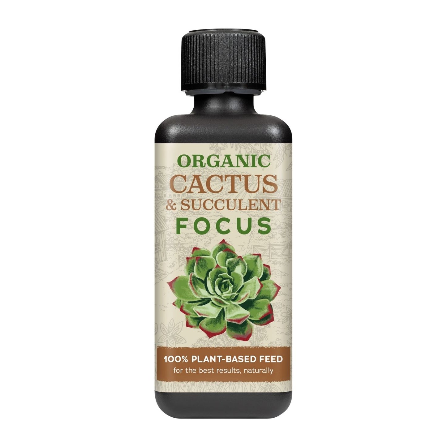 Organic Cactus & Succulent Focus - Plant Food