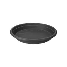Round Saucer | Graphite