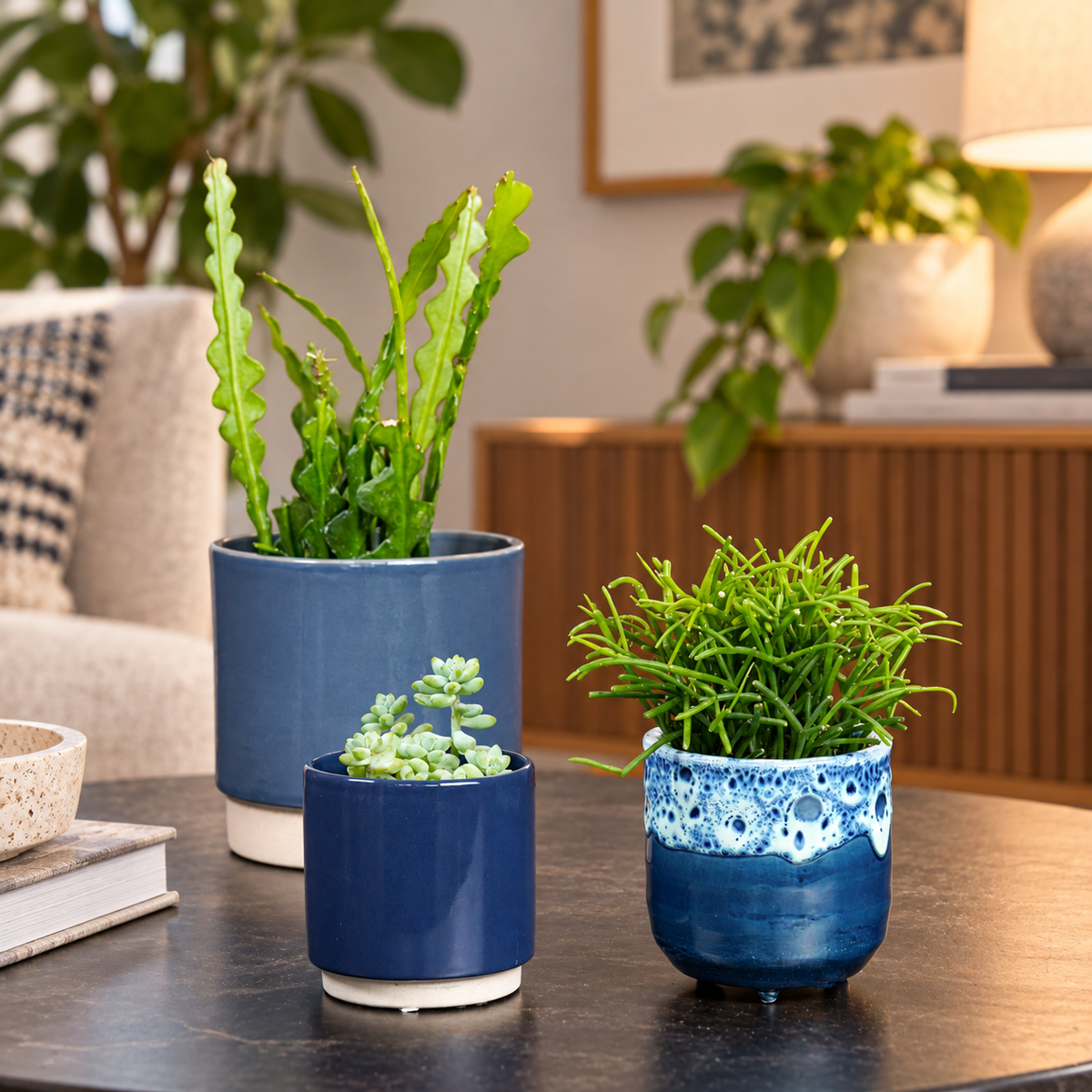Side Table Greens | Plant Bundle