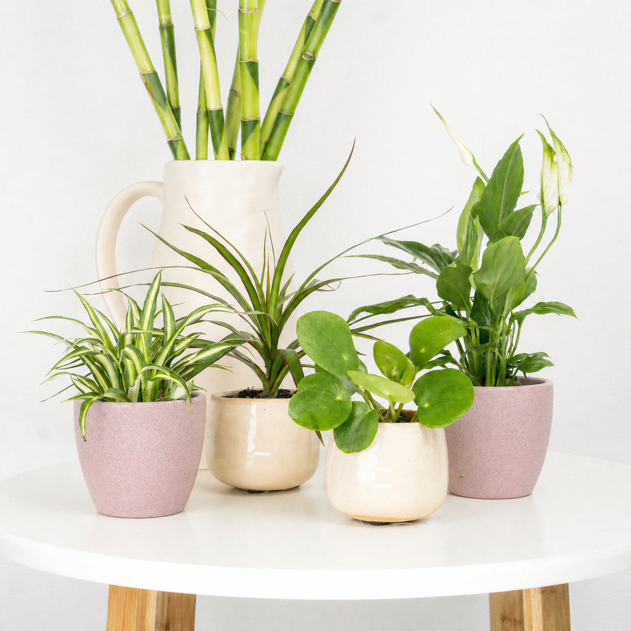 You Deserve The Best | Plant Bundle