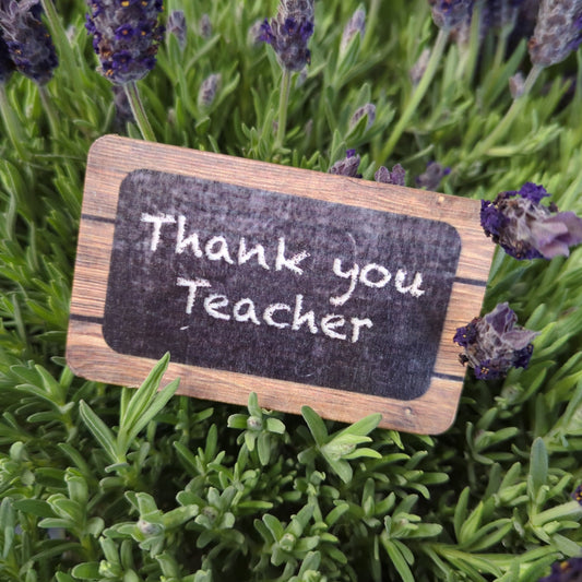 Thank You Teacher | Decorative Plant Pot Accessory | Gardening Accessories