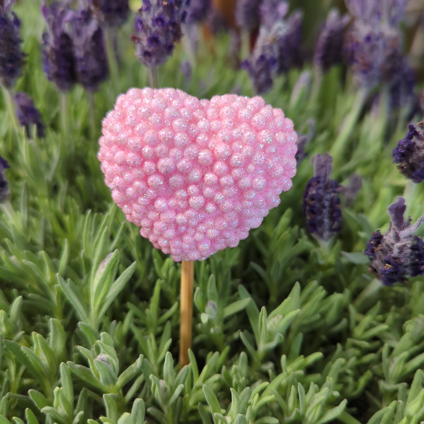 Sparkle Heart | Decorative Plant Pot Accessory