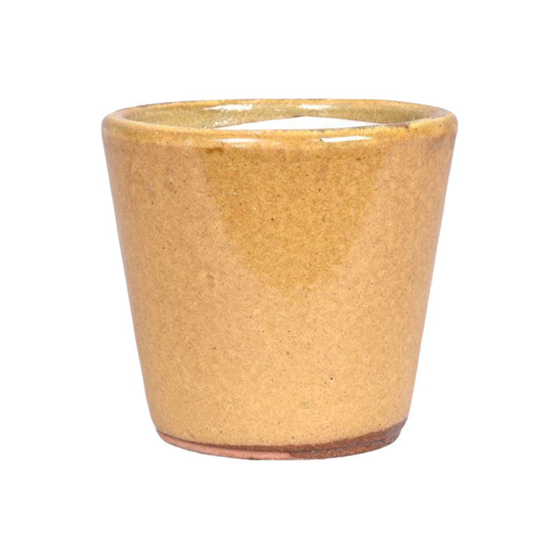 Alicante Curry Pot - Ceramic Plant Pot