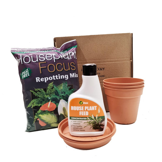 House Plant Repotting Kit | Compost