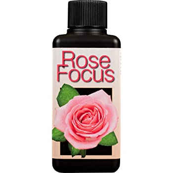 Rose Focus - Plant Food
