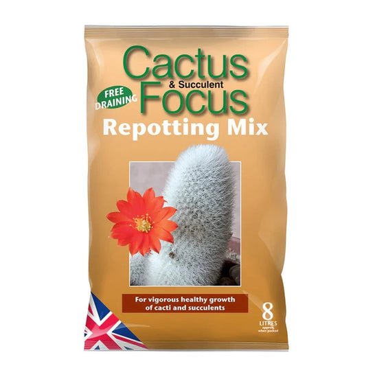 Cacti & Succulent Focus Repotting Mix Peat Free | Compost