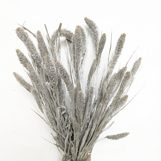 Setaria Bouquet | Silver | Dried Flowers