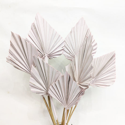 Palm Spears | Blush | Dried Flowers