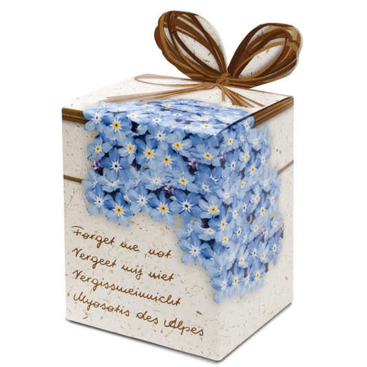 Small Plant Your Own Forget Me Not Seed Gift Set | Gardening Accessories