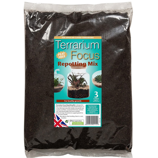 Terrarium Focus Repotting Mix Peat Free 3L | Compost