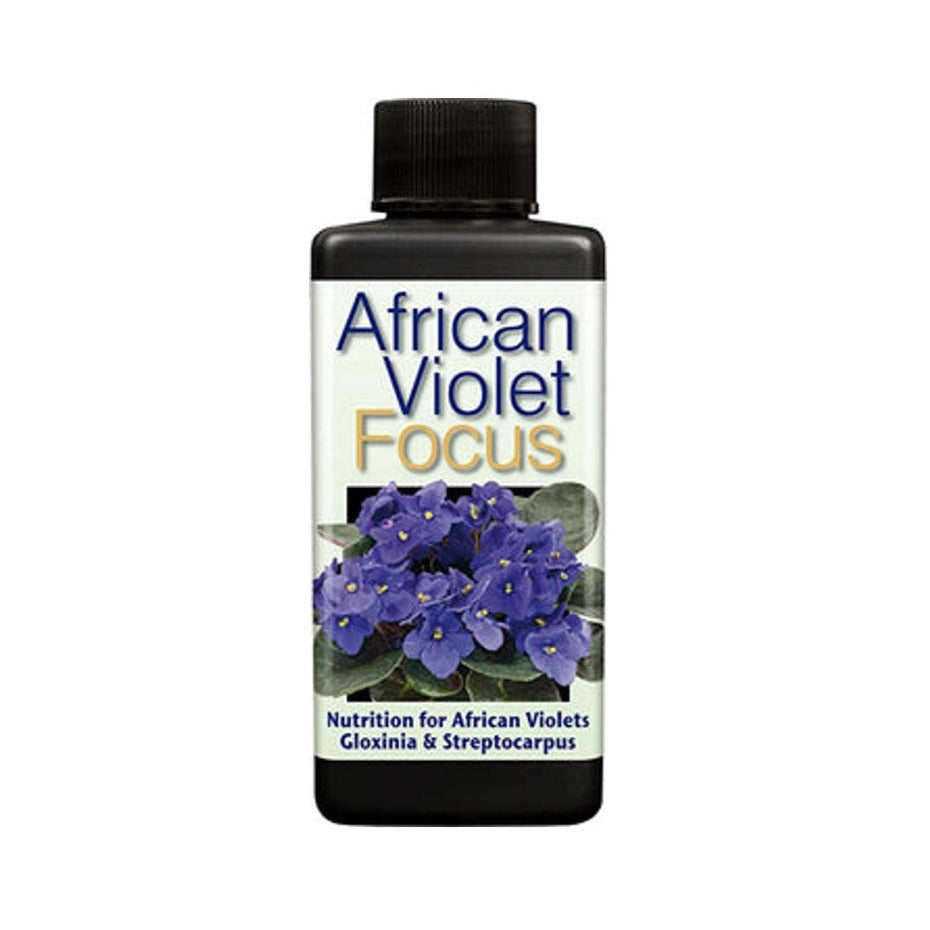 African Violet Focus 300ml - Plant Food