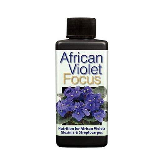 African Violet Focus 300ml  - Plant Food | Fertilizers