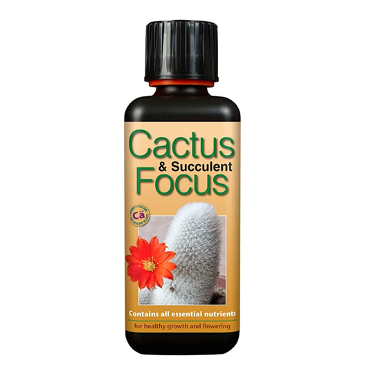 Cactus & Succulent Focus  - Plant Food | Fertilizers