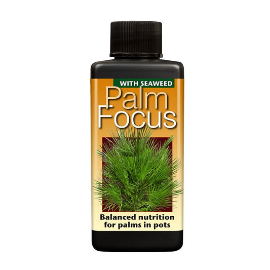 Palm Focus - Plant Food | Fertilizers