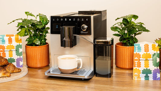 The Espresso Garden | Rainy Sundays - Coffee Plant