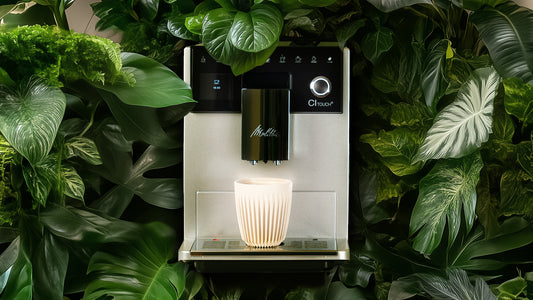 The Espresso Garden | Jungle Vibes